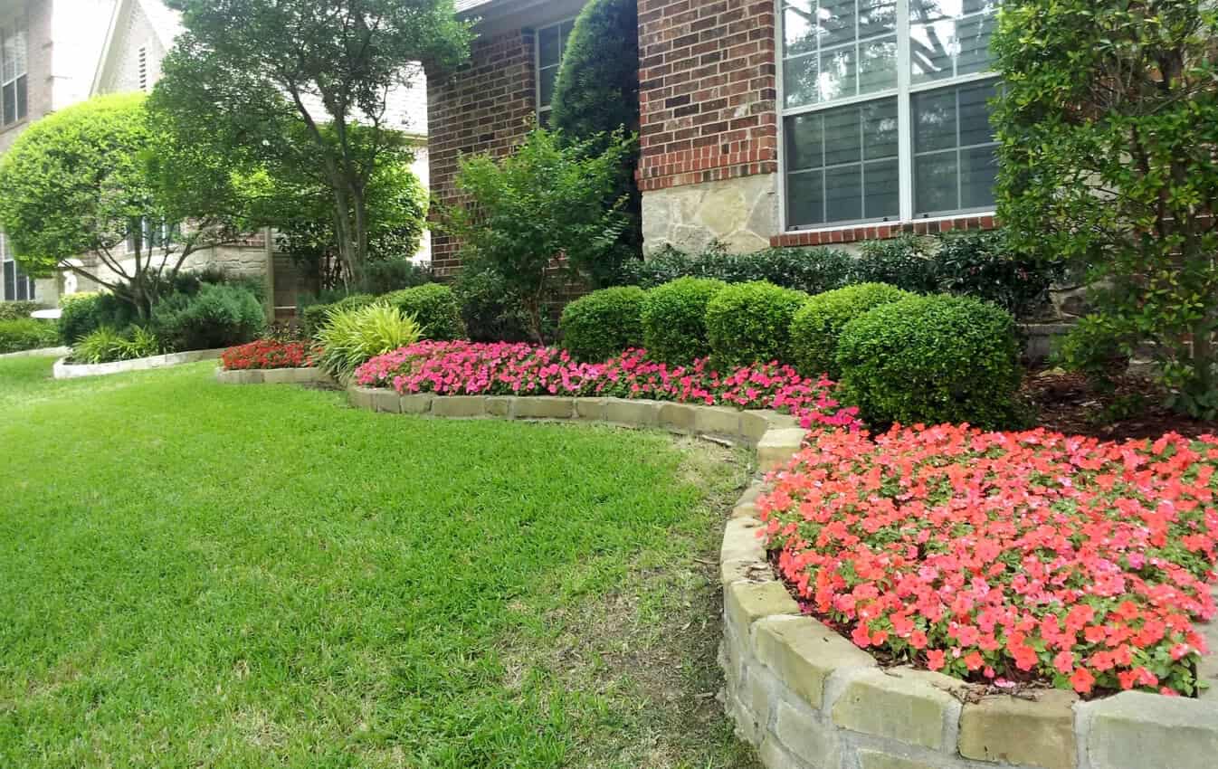 Optimal Lawn Care Lawn Care Service McKinney TX